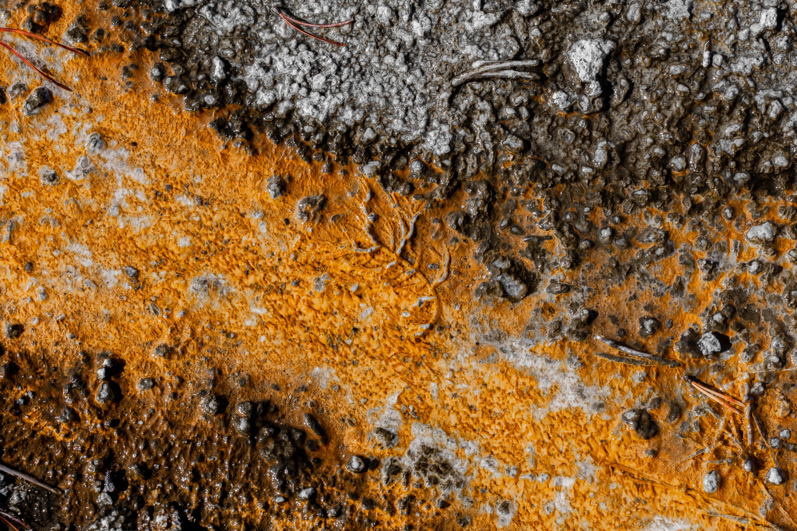 Textura termal de un géiser de Yellowstone