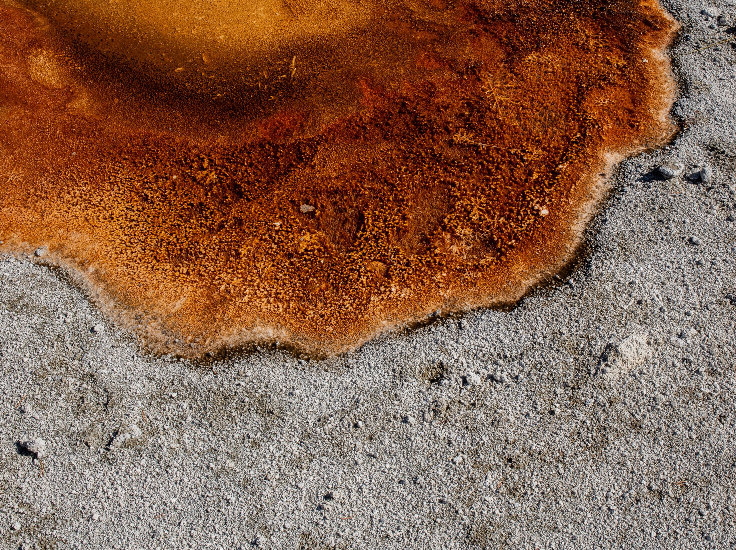 Textura termal de un géiser de Yellowstone