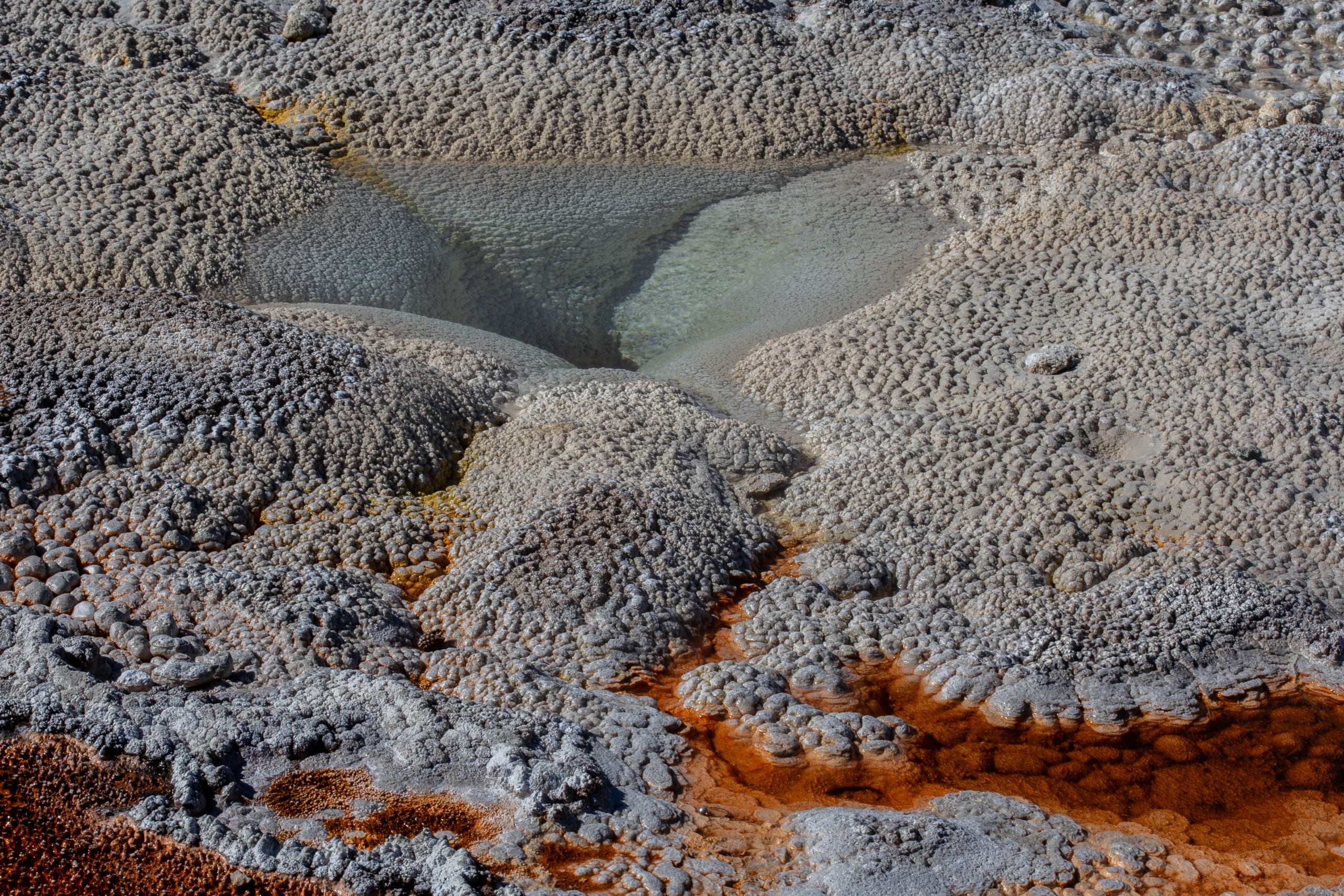 Textura termal de un géiser de Yellowstone