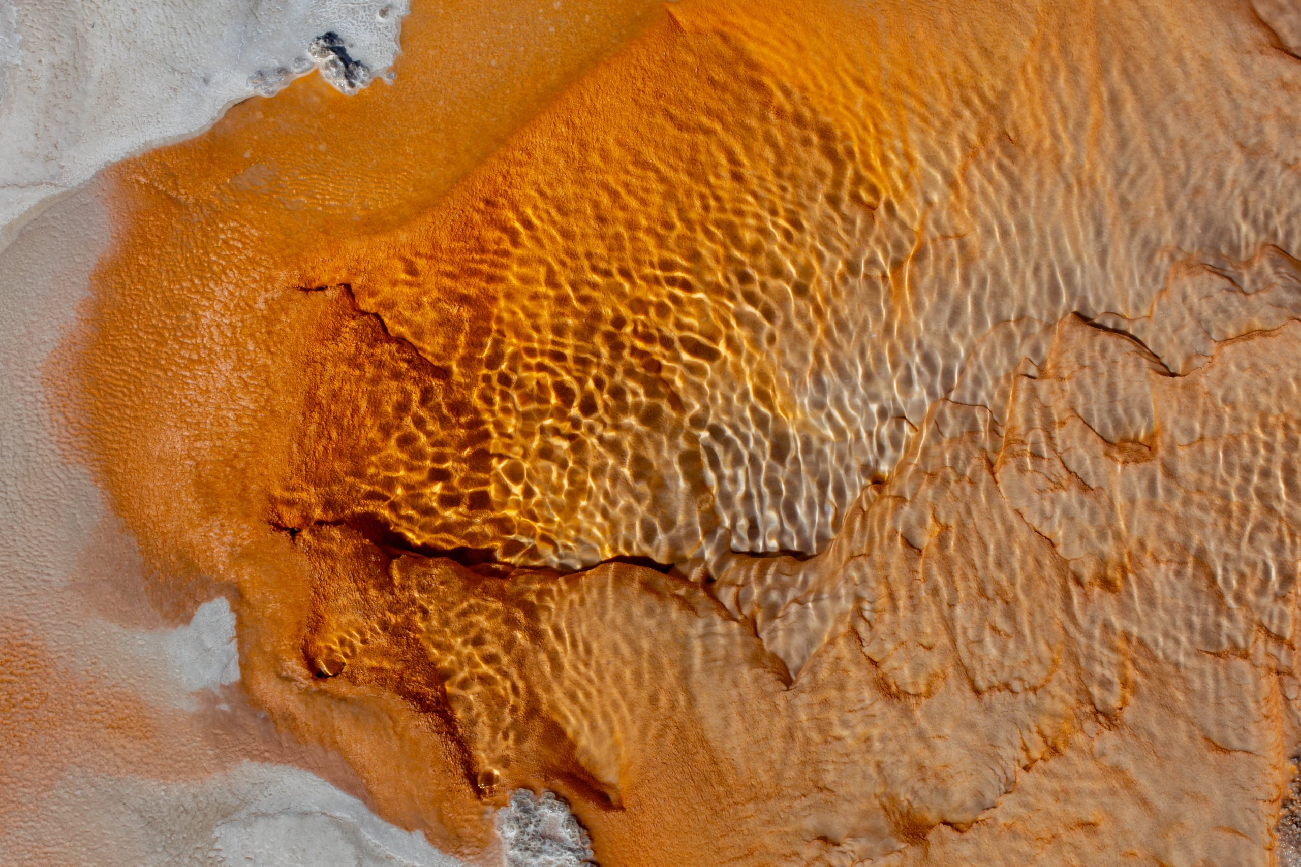 Textura termal de un géiser de Yellowstone