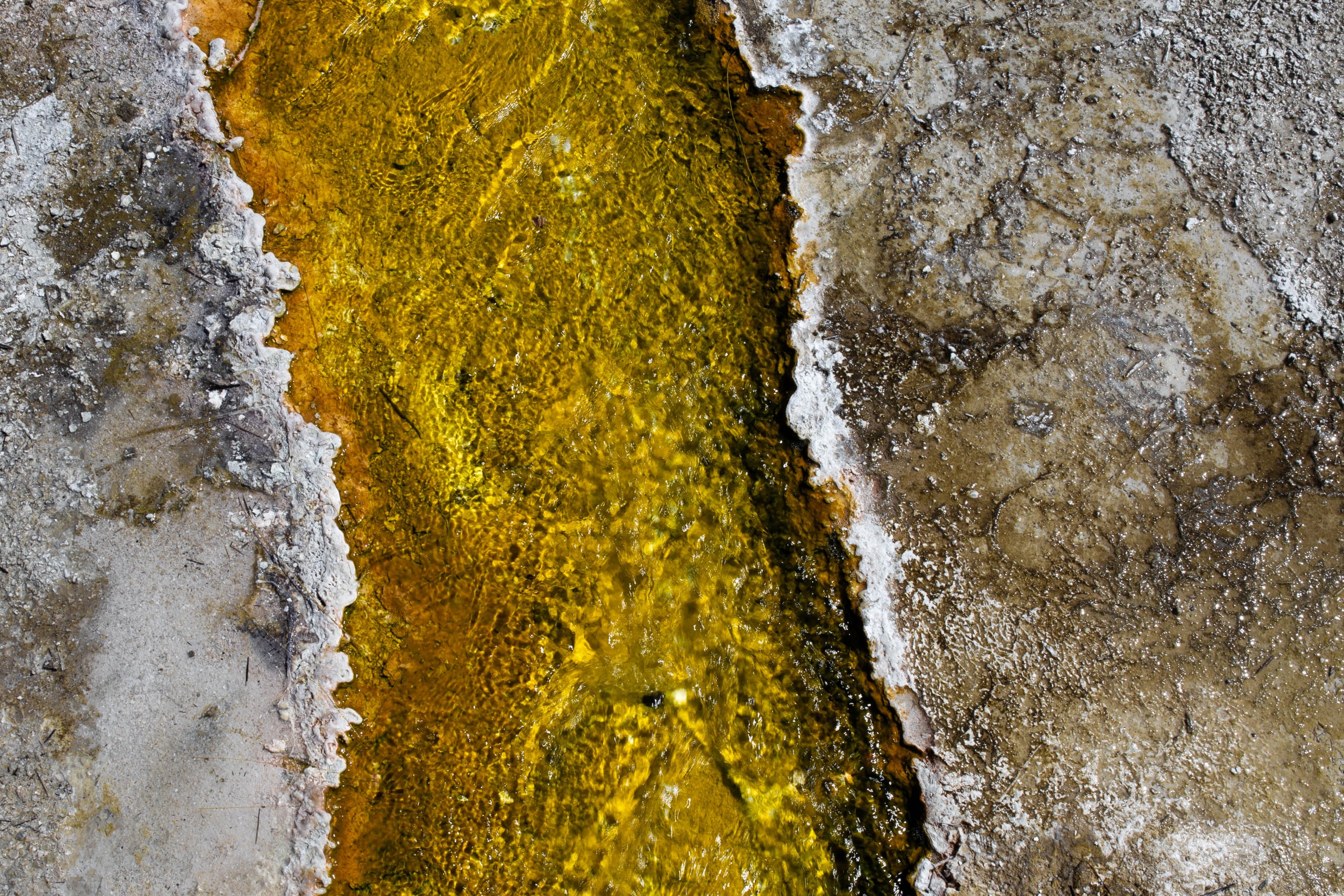 Textura termal de un géiser de Yellowstone
